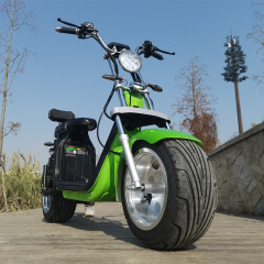Citycoco smart self balance electric scooter 18inches Europe in stock